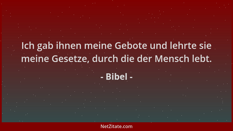 Bibel - Ich gab ihnen meine Gebote und lehrte sie meine Gesetze, durch die der Mensch lebt....