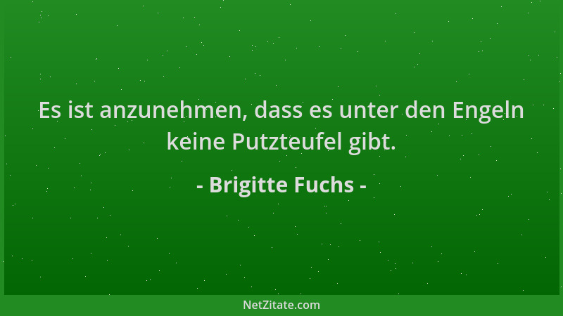 Brigitte Fuchs - Es ist anzunehmen, dass es unter den Engeln keine Putzteufel gibt....
