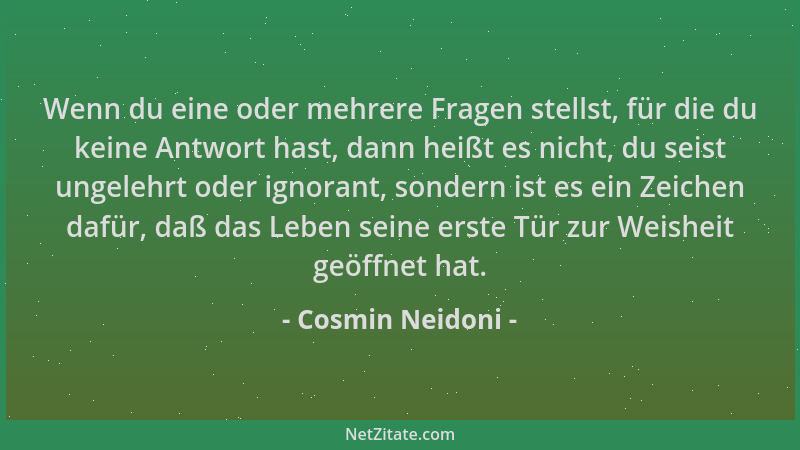 Cosmin Neidoni - Wenn du eine oder mehrere Fragen stellst, für die du keine Antwort hast, dann heißt es nicht, du seist ung...