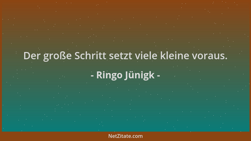Ringo Jünigk - Der große Schritt setzt viele kleine voraus....