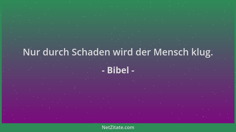 Bibel - Nur durch Schaden wird der Mensch klug....