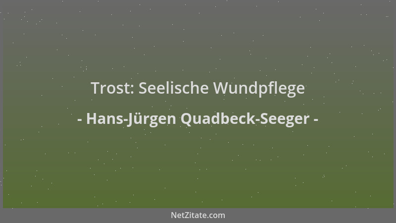 Hans-Jürgen Quadbeck-Seeger - Trost: Seelische Wundpflege...