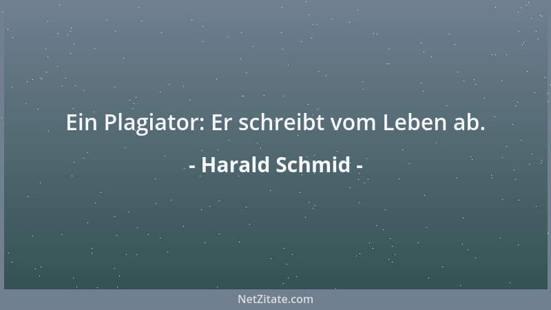 Harald Schmid - Ein Plagiator: Er schreibt vom Leben ab....