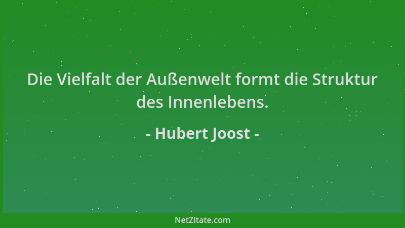Hubert Joost - Die Vielfalt der Außenwelt formt die Struktur des Innenlebens....