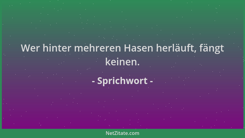Sprichwort - Wer hinter mehreren Hasen herläuft, fängt keinen....