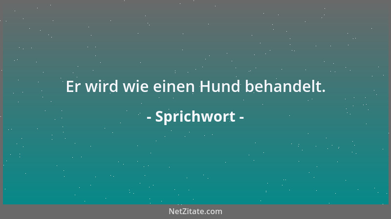 Sprichwort - Der Hund kennt seinen Weg und seine Bäume....