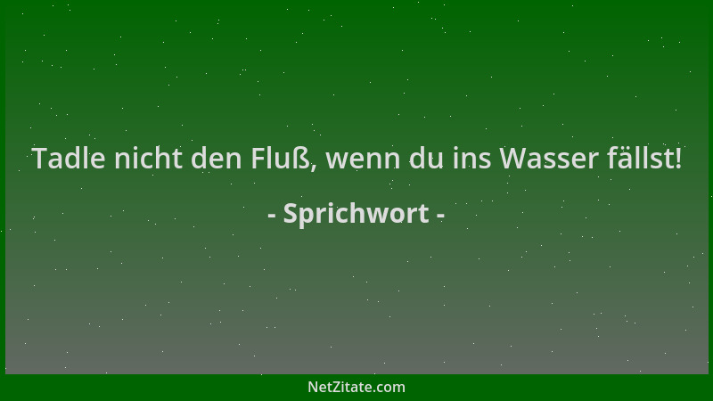 Sprichwort - Tadle nicht den Fluß, wenn du ins Wasser fällst!...