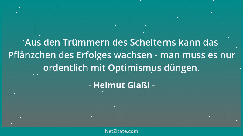 Helmut Glaßl - Aus den Trümmern des Scheiterns kann das Pflänzchen des Erfolges wachsen - man muss es nur ordentlich mit Op...
