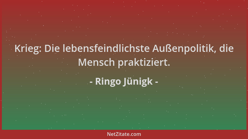 Ringo Jünigk - Krieg: Die lebensfeindlichste Außenpolitik, die Mensch praktiziert....