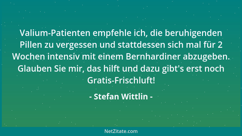 Stefan Wittlin - Ist es nicht so, daß man auch Spaß am Leben haben kann ohne... immer Spaß haben zu müssen...