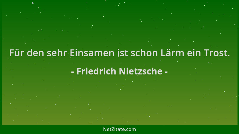 Friedrich Nietzsche - Für den sehr Einsamen ist schon Lärm ein Trost....