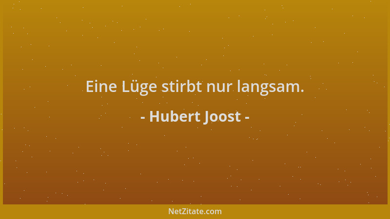 Hubert Joost - Eine Lüge stirbt nur langsam....