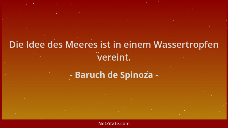 Baruch de Spinoza - Die Idee des Meeres ist in einem Wassertropfen vereint....
