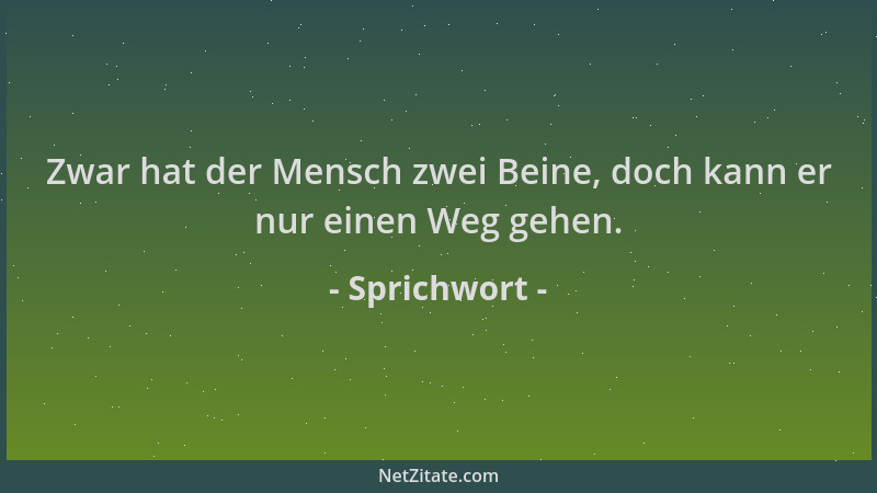 Sprichwort - Zwar hat der Mensch zwei Beine, doch kann er nur einen Weg gehen....
