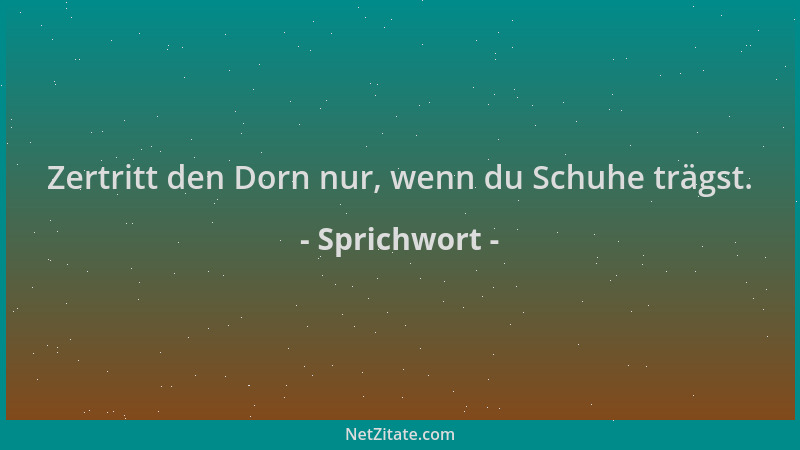 Sprichwort - Zertritt den Dorn nur, wenn du Schuhe trägst....