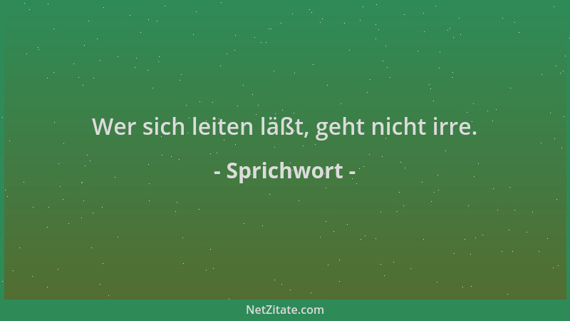 Sprichwort - Wer sich leiten läßt, geht nicht irre....