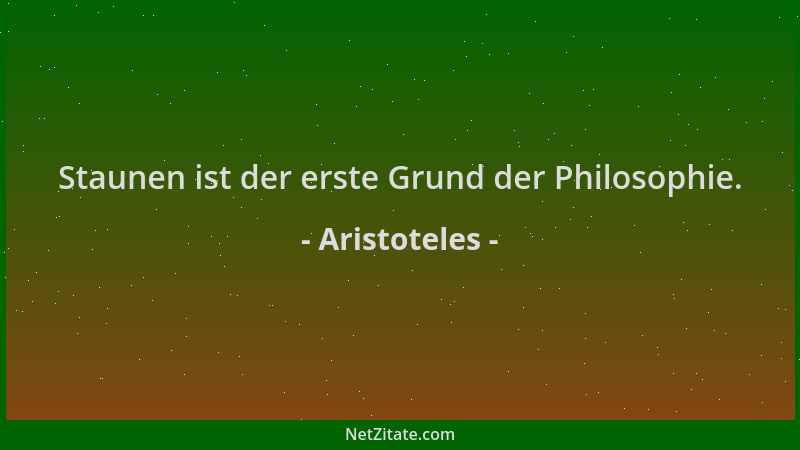 Aristoteles - Staunen ist der erste Grund der Philosophie....