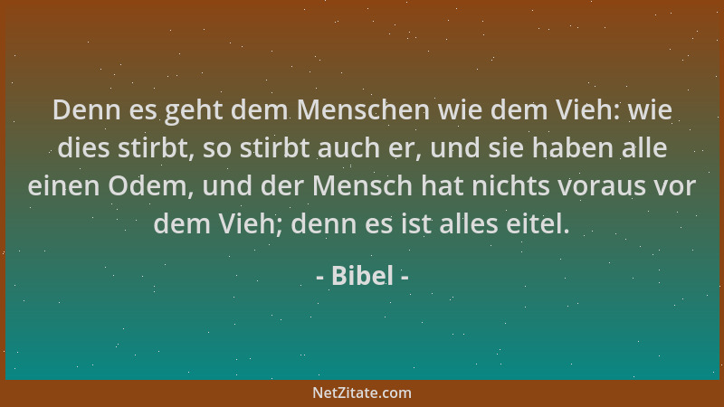 Bibel - Denn es geht dem Menschen wie dem Vieh: wie dies stirbt, so stirbt auch er, und sie haben alle einen Odem, und der...