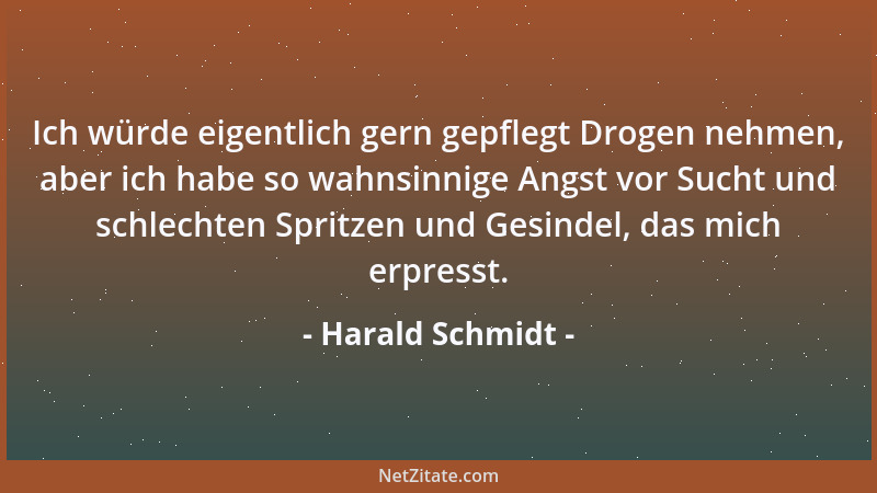 Harald Schmidt - Ich würde eigentlich gern gepflegt Drogen nehmen, aber ich habe so wahnsinnige Angst vor Sucht und schlech...