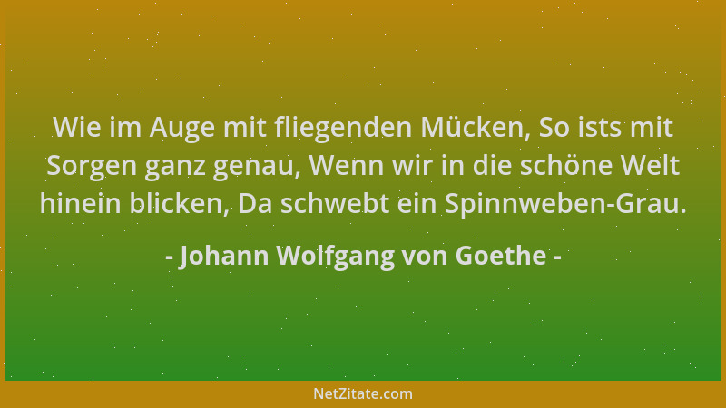 Johann Wolfgang von Goethe - Wie im Auge mit fliegenden Mücken, So ists mit Sorgen ganz genau, Wenn wir in die schöne Welt...