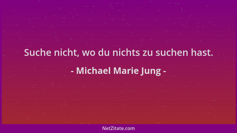 Michael Marie Jung - Suche nicht, wo du nichts zu suchen hast....