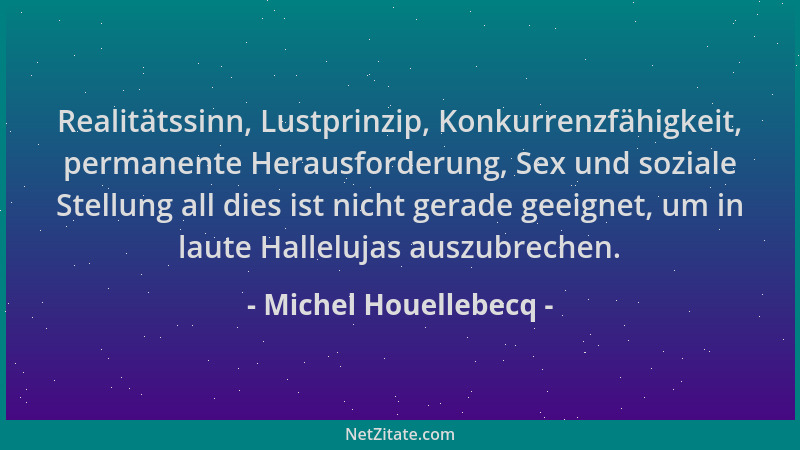 Michel Houellebecq - Realitätssinn, Lustprinzip, Konkurrenzfähigkeit, permanente Herausforderung, Sex und soziale Stellung...