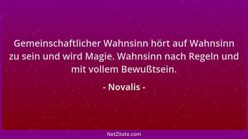 Novalis - Gemeinschaftlicher Wahnsinn hört auf Wahnsinn zu sein und wird Magie. Wahnsinn nach Regeln und mit vollem Bewußts...