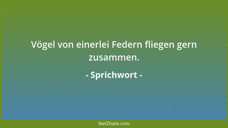 Sprichwort - Wer sein eigener Lehrmeister sein will, hat einen Narren zum Schüler....