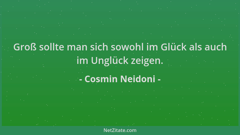 Cosmin Neidoni - Groß sollte man sich sowohl im Glück als auch im Unglück zeigen....