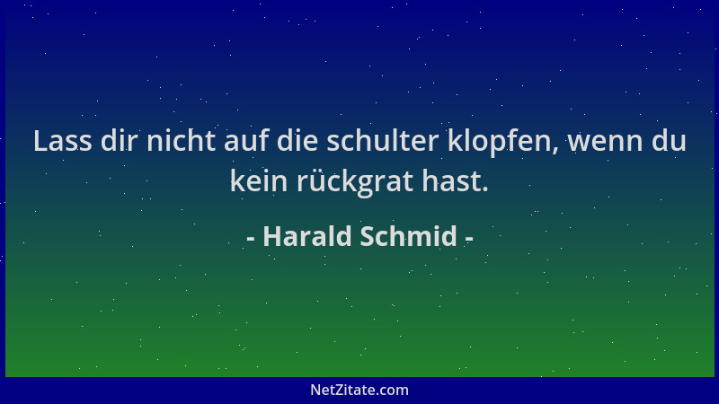 Harald Schmid - Lass dir nicht auf die schulter klopfen, wenn du kein rückgrat hast....