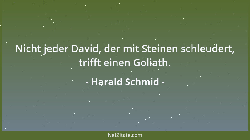 Harald Schmid - Nicht jeder David, der mit Steinen schleudert, trifft einen Goliath....
