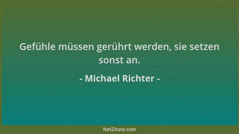 Michael Richter - Gefühle müssen gerührt werden, sie setzen sonst an....