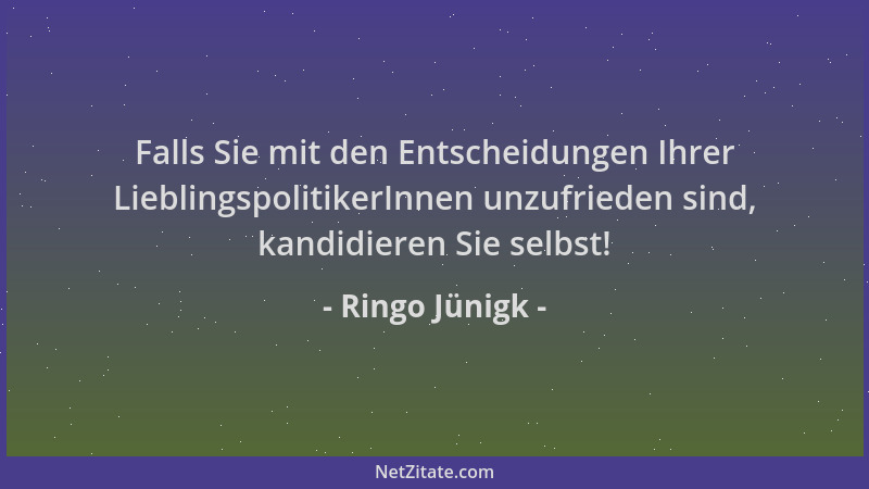 Ringo Jünigk - Falls Sie mit den Entscheidungen Ihrer LieblingspolitikerInnen unzufrieden sind, kandidieren Sie selbst!...