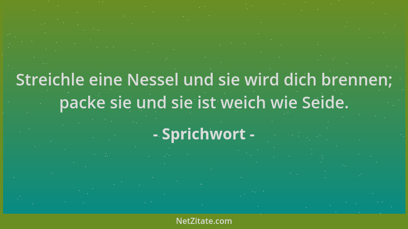 Sprichwort - Streichle eine Nessel und sie wird dich brennen; packe sie und sie ist weich wie Seide....