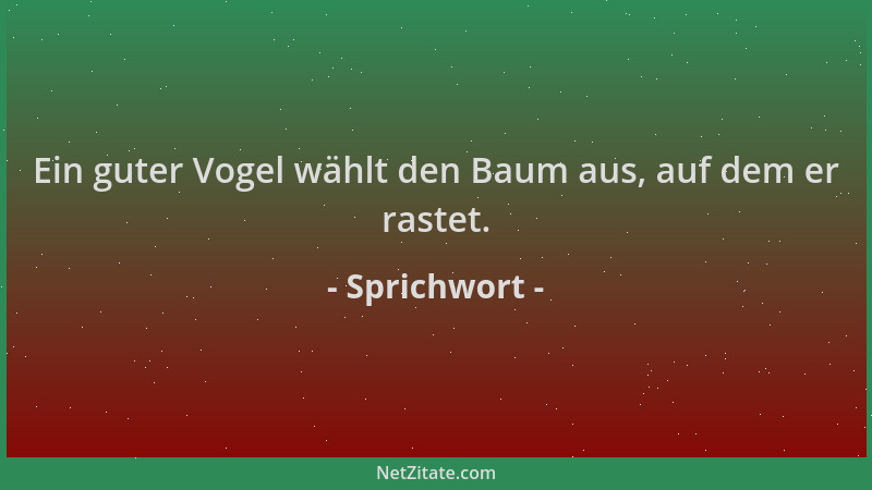Sprichwort - Ein guter Vogel wählt den Baum aus, auf dem er rastet....