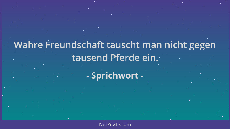 Sprichwort - Wahre Freundschaft tauscht man nicht gegen tausend Pferde ein....