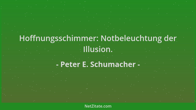 Peter E. Schumacher - Hoffnungsschimmer: Notbeleuchtung der Illusion....