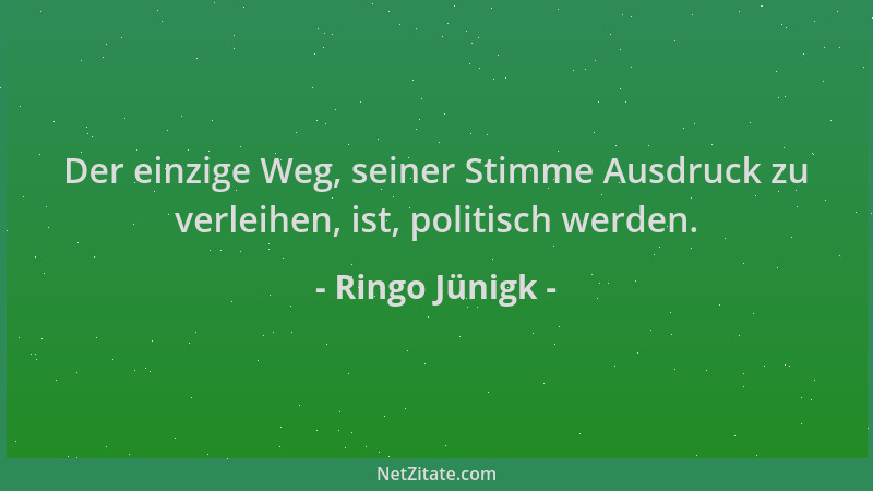 Ringo Jünigk - Der einzige Weg, seiner Stimme Ausdruck zu verleihen, ist, politisch werden....