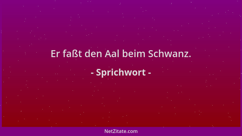 Sprichwort - Er faßt den Aal beim Schwanz....