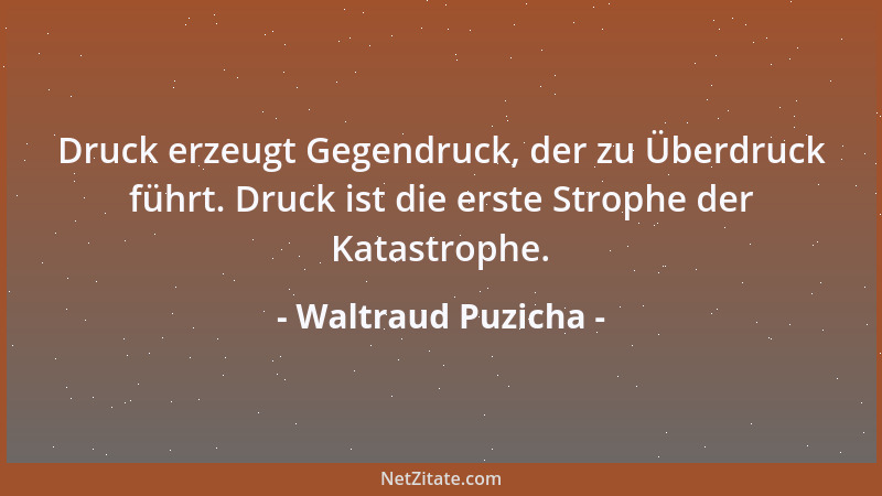 Waltraud Puzicha - Druck erzeugt Gegendruck, der zu Überdruck führt. Druck ist die erste Strophe der Katastrophe....