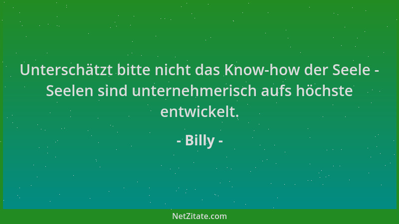 Billy - Unterschätzt bitte nicht das Know-how der Seele - Seelen sind unternehmerisch aufs höchste entwickelt....