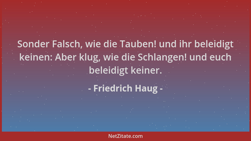 Friedrich Haug - Sonder Falsch, wie die Tauben! und ihr beleidigt keinen: Aber klug, wie die Schlangen! und euch beleidigt...