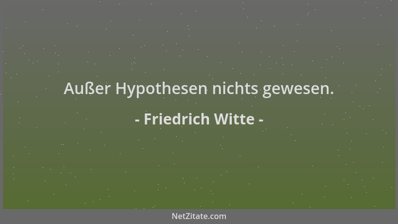 Friedrich Witte - Außer Hypothesen nichts gewesen....