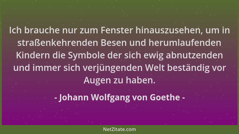Johann Wolfgang von Goethe - Ich brauche nur zum Fenster hinauszusehen, um in straßenkehrenden Besen und herumlaufenden Kin...