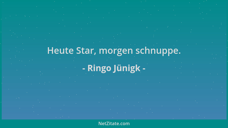 Ringo Jünigk - Heute Star, morgen schnuppe....