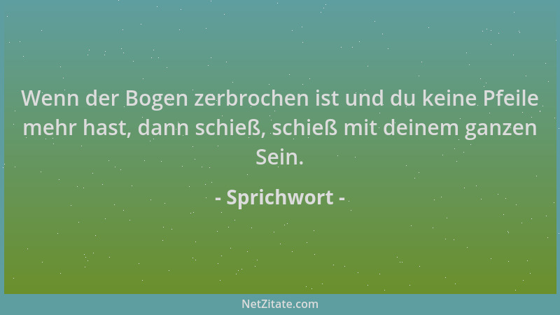 Sprichwort - Wenn der Bogen zerbrochen ist und du keine Pfeile mehr hast, dann schieß, schieß mit deinem ganzen Sein....