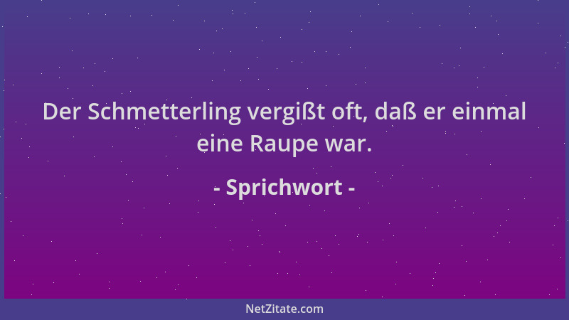 Sprichwort - Der Schmetterling vergißt oft, daß er einmal eine Raupe war....