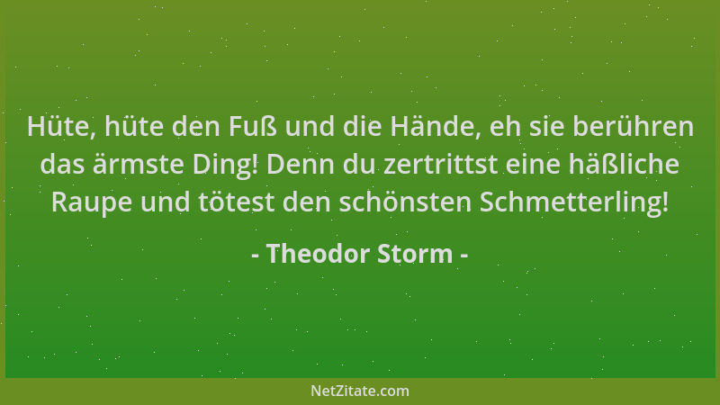 Theodor Storm - Hüte, hüte den Fuß und die Hände, eh sie berühren das ärmste Ding! Denn du zertrittst eine häßliche Raupe u...