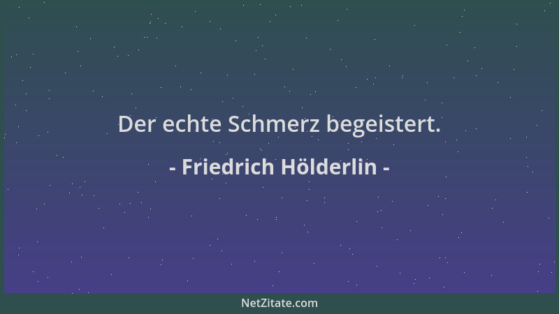 Friedrich Hölderlin - Der echte Schmerz begeistert....