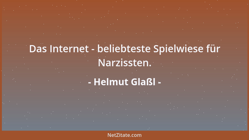 Helmut Glaßl - Das Internet - beliebteste Spielwiese für Narzissten....
